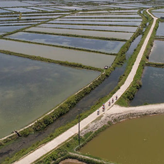 social/environmental